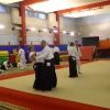 IMGP3715