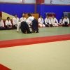 IMGP2041