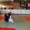 IMGP5686