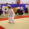IMGP4529