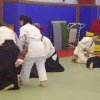 IMGP2046