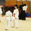 IMGP5524