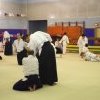 IMGP4657