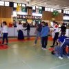 IMGP5770