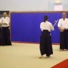 IMGP3592