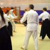 IMGP3881