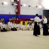 IMGP7154