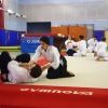IMGP8130