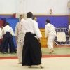 IMGP6190